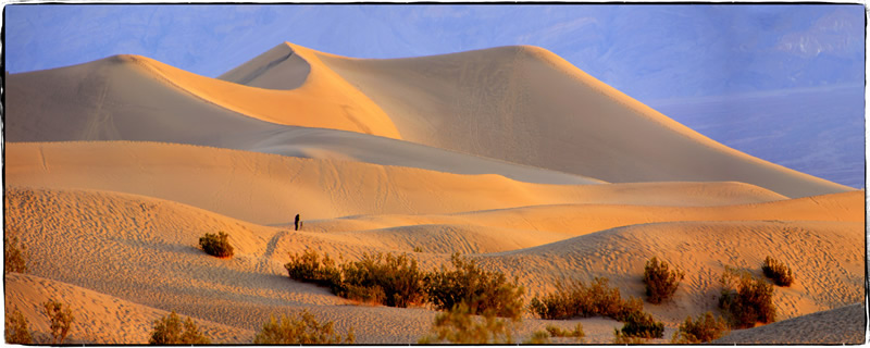Dunes in the Morning Light by Trudy Curtis